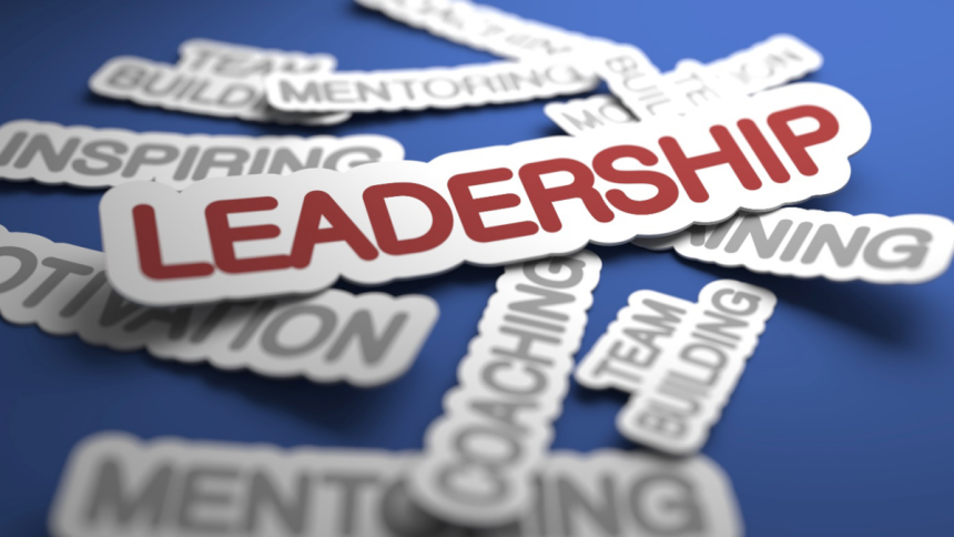 Leadership Development Strategies for Organizational Success