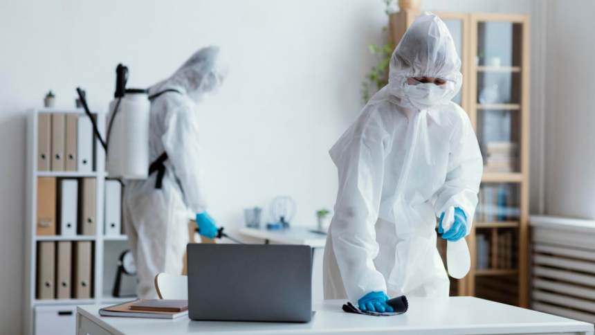 Why Hiring a Pest Control Company is Beneficial?