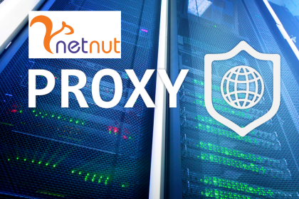 NetNut Proxies Unveiling Speed and Potential Frustrations