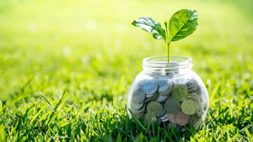 Sustainable Practices That Save Money and Boost Profits