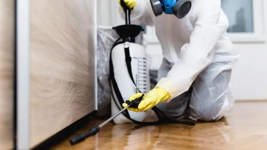 Protecting Your Dream Home Essential Reasons for Regular Pest Control