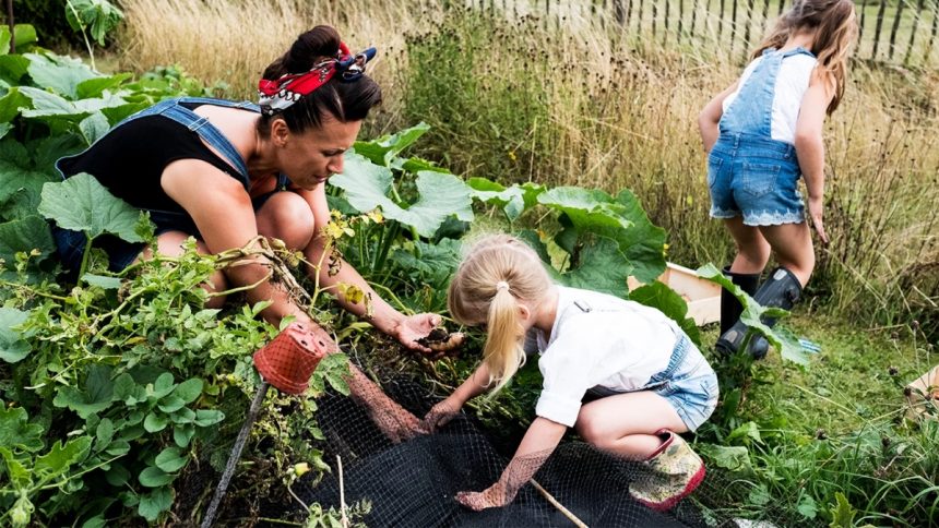 Top 10 Health Benefits of Urban Gardening