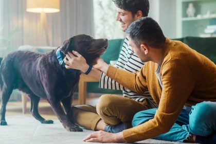 Pros and Cons of Having a Pet in a Condo or Apartment