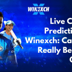 Get the Live Cricket Prediction for your Favorite Team to Win Big