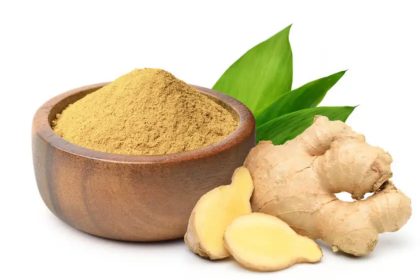 How Ginger Oil Can Transform Your Dog's Daily Health Regimen