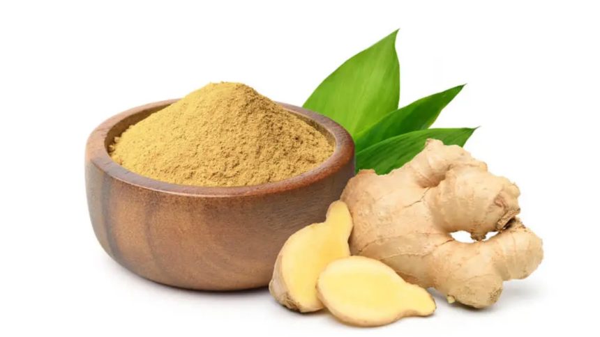 How Ginger Oil Can Transform Your Dog's Daily Health Regimen