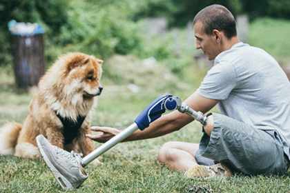 The Role of Therapy Animals in Supporting Amputation Recovery