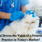 What Drives the Value of a Veterinary Practice in Today's Market?