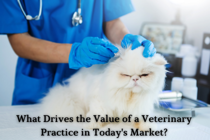 What Drives the Value of a Veterinary Practice in Today's Market?