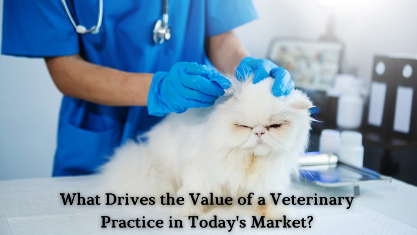 What Drives the Value of a Veterinary Practice in Today's Market?