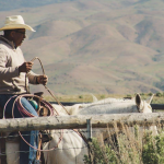 Life on a Ranch A Return to Basics