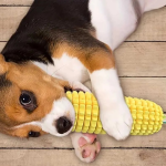 The Essential Guide to Dog Chew Toys for Aggressive Chewers A Supplier’s Perspective