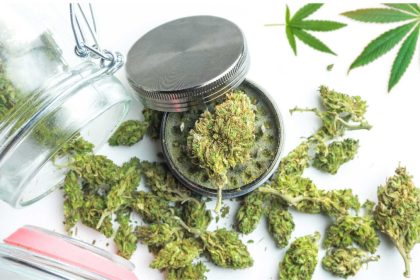 Herb Doctors in Sarasota Your Guide to Accessing Medical Weed in Florida