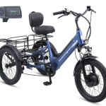 The Future of Adult Biking Electric Bikes vs. Tricycles