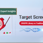 Unlocking the Potential of CRISPR Library Screening for Target Identification