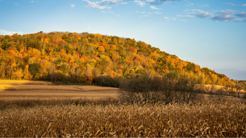 Daniel Sergi on Philanthropy, Farm Life, and Community