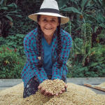 How Small Farmers Are Changing the Coffee Industry