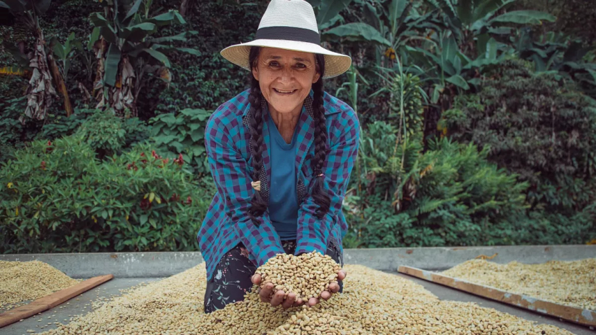 How Small Farmers Are Changing the Coffee Industry