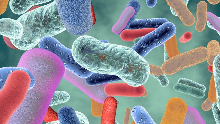 The Role Of Gut Microbiome Research In Treating Autoimmune Disorders