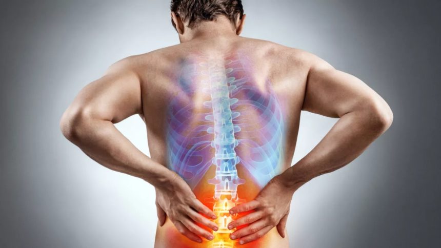 Unexpected Pain Connections How Sciatica and Forearm Pain Are More Connected Than We Think!